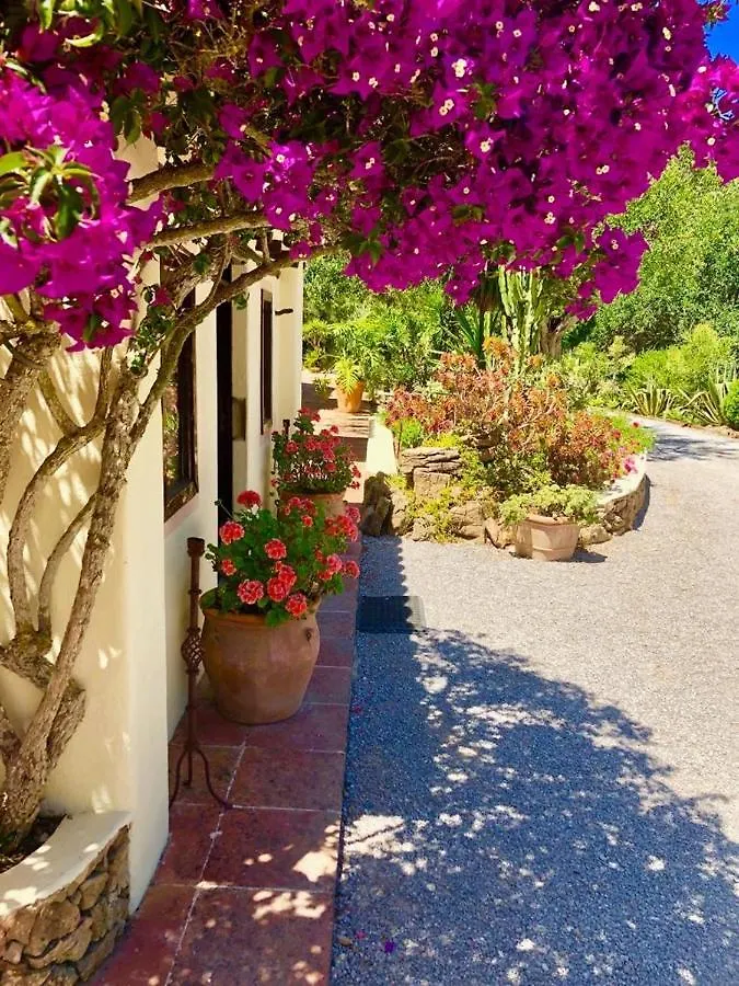 מלון Es Cana Agroturismo Can Talaias San Carlos